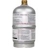 imageFlame King 1LB Empty Aluminum Propane Cylinder Tank  CorrosionResistant and RustFree Great for Camping and Small AppliancesAluminum Tank