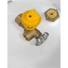 imageFlame King CYL100ASME 100Pound ASME Propane Tank MultiValves with Accurate Gas Level Gauge200 LB ASME