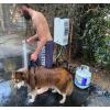 imageFlame King Portable Tankless Water Heater Propane Gas 10L 264 GPM at 68000 BTU Outdoor Instant Hot Water Shower for RV Camping Farm Cabins10L  264 GPM