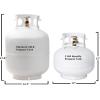 imageFlame King YSN11SQT 11 Pound Propane Tank Cylinder Squatty with Type 1 OPD Valve White11LB TANK